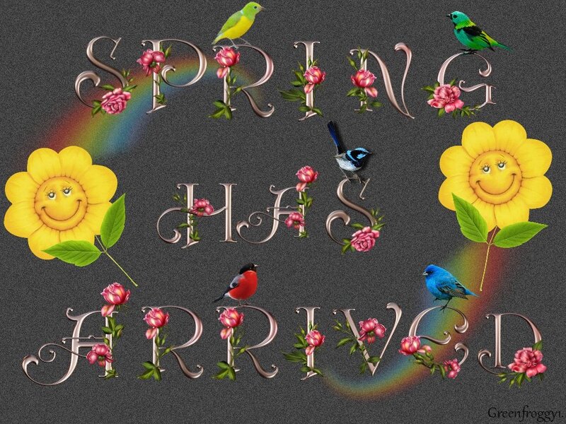 Spring Greeting Card