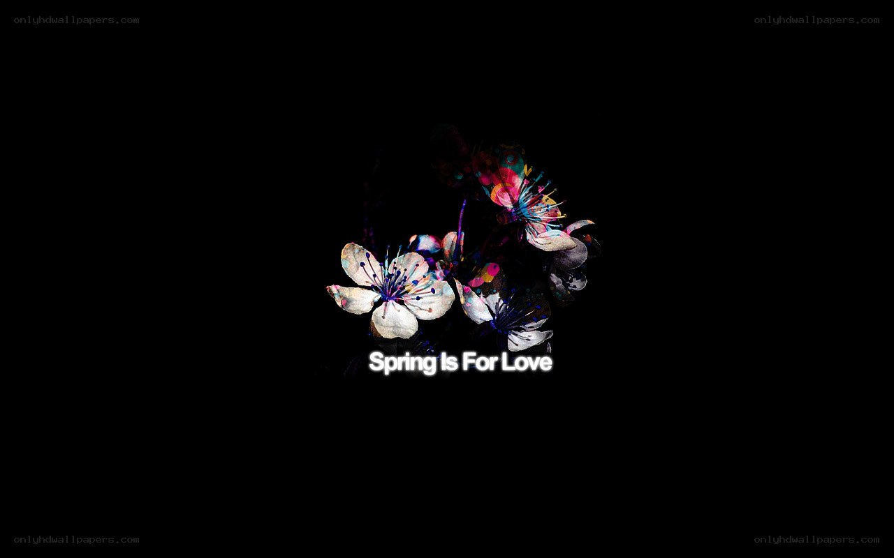 Spring Is For Love