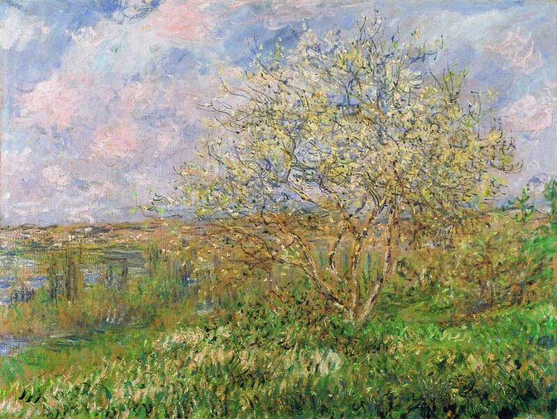 Spring Landscape with Tree