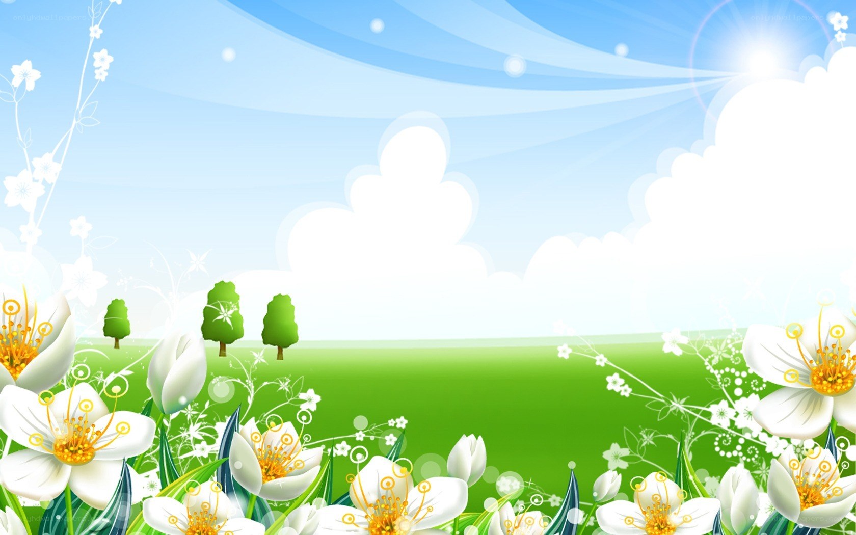 Spring meadow with white flowers