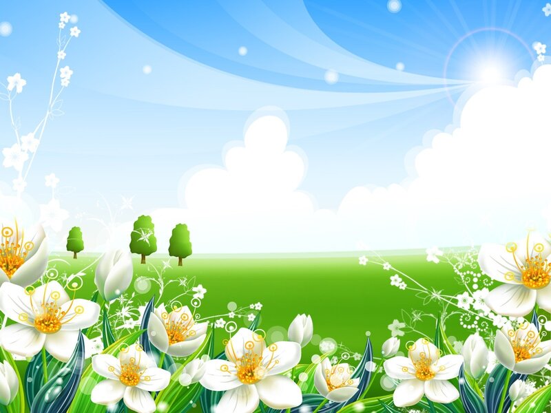 Spring meadow with white flowers