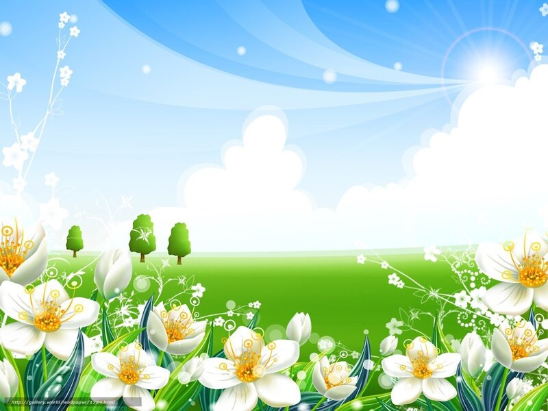 Spring meadow with white flowers