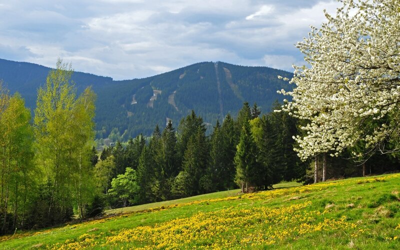 Spring mountain landscape