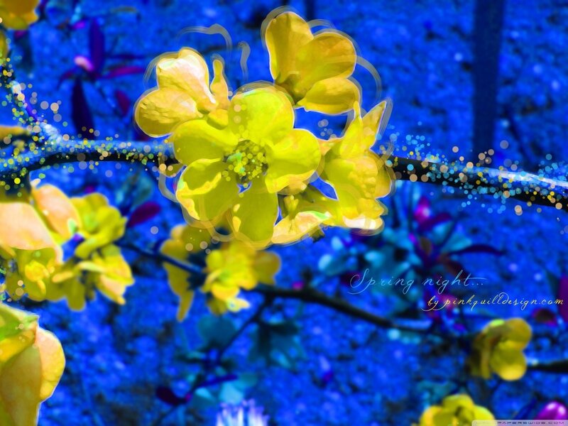 Spring night flowers