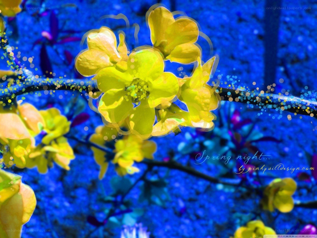 Spring night flowers