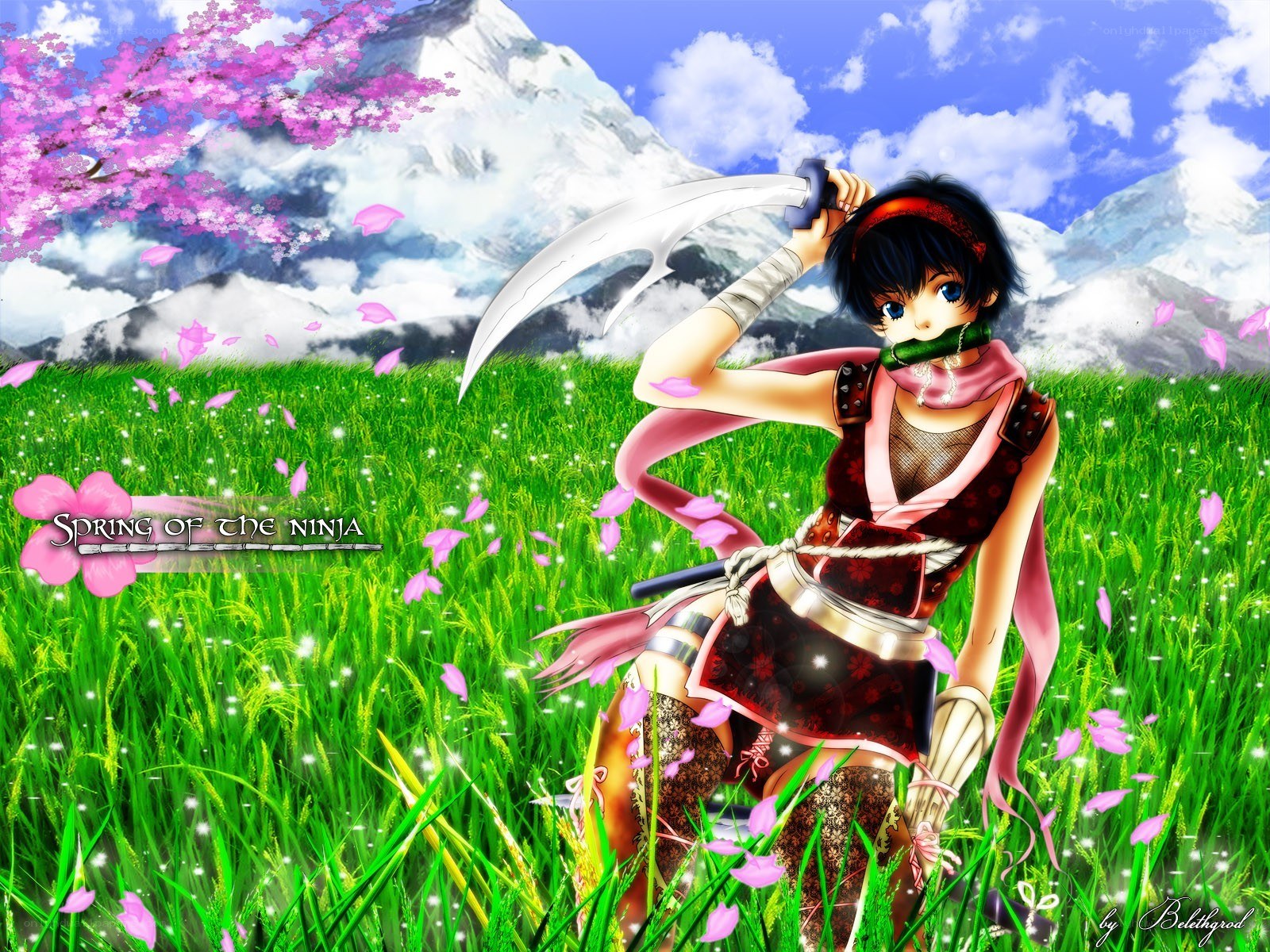 Spring of the Ninja