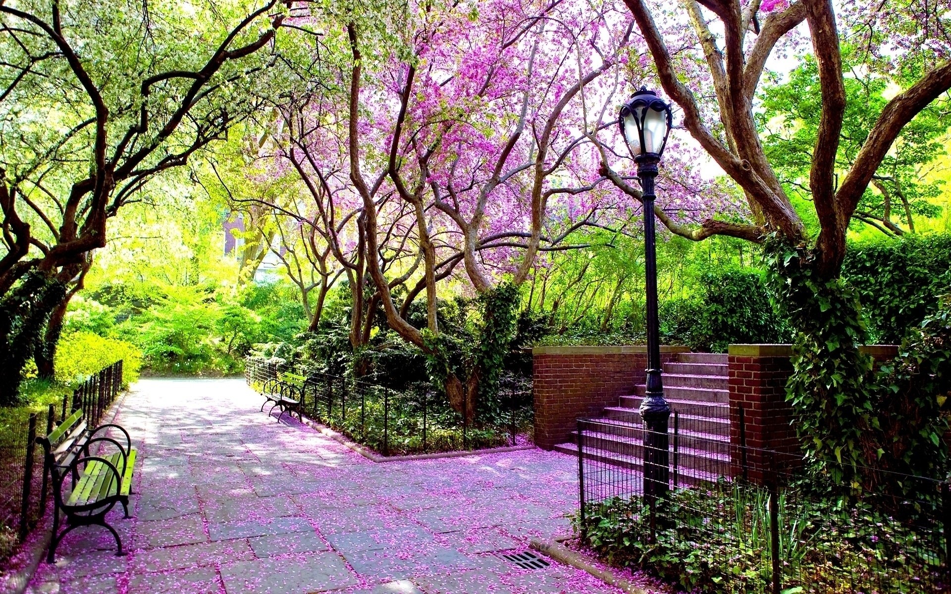 Spring park with blooming trees