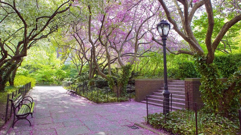 Spring path in a city park