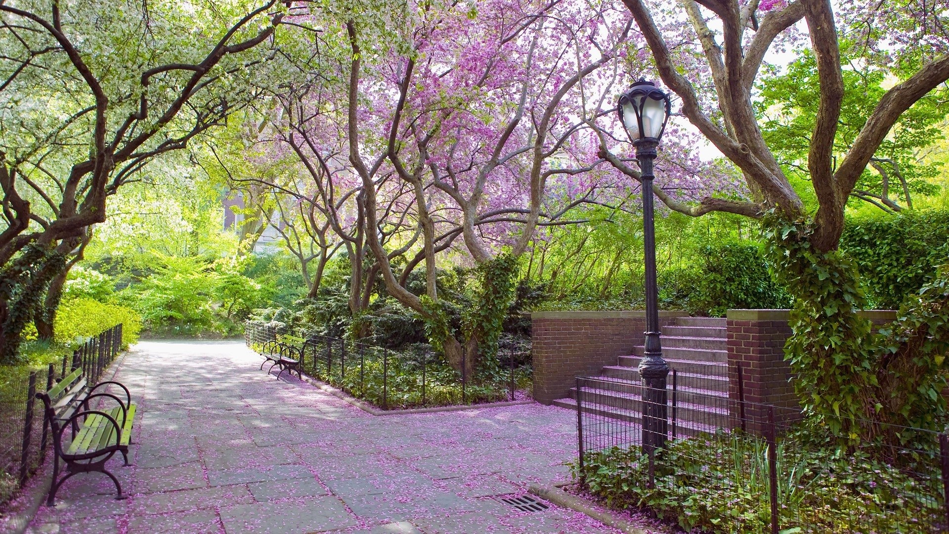 Spring path in a city park