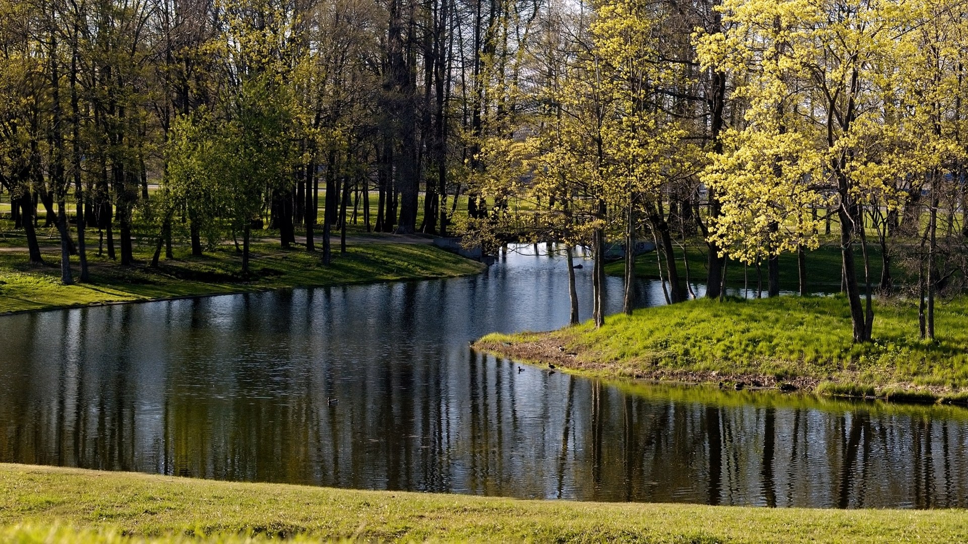 Spring pond in a park