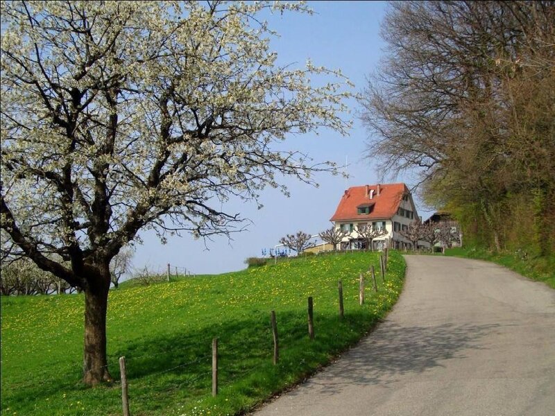 Spring road to a house on a hill