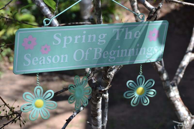 Spring Sign on Tree
