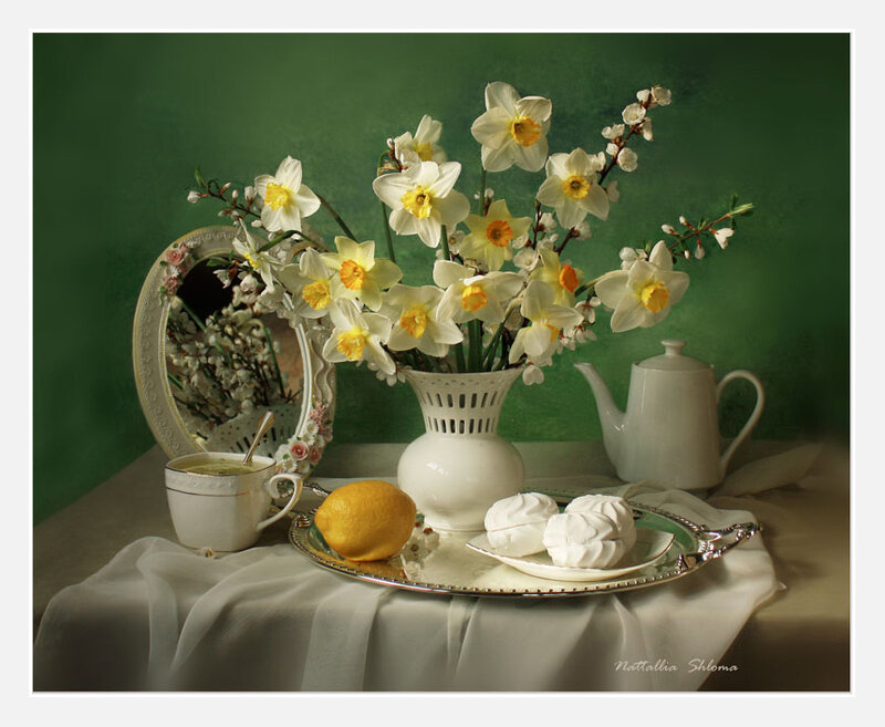 Spring still life with daffodils