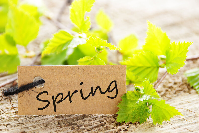 Spring Tag with Leaves
