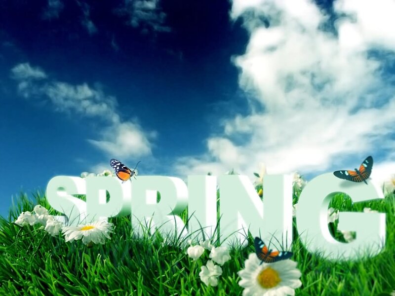 Spring Text in Grass — Green