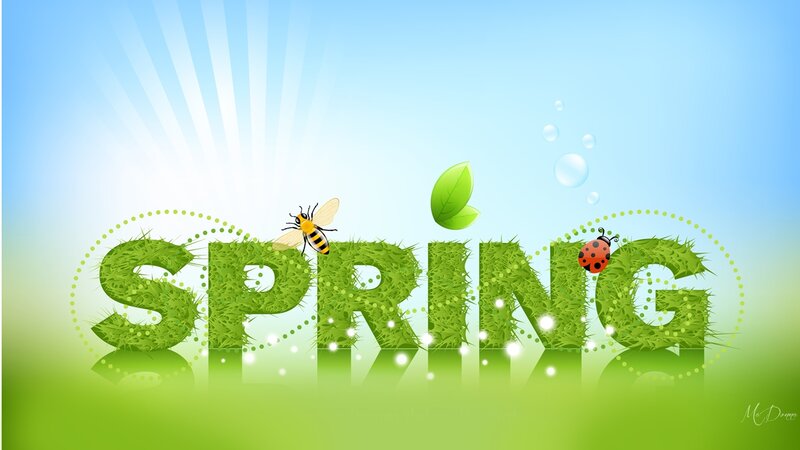 Spring Text with Insects
