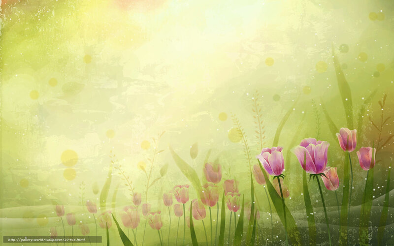 Spring tulips in sunlight