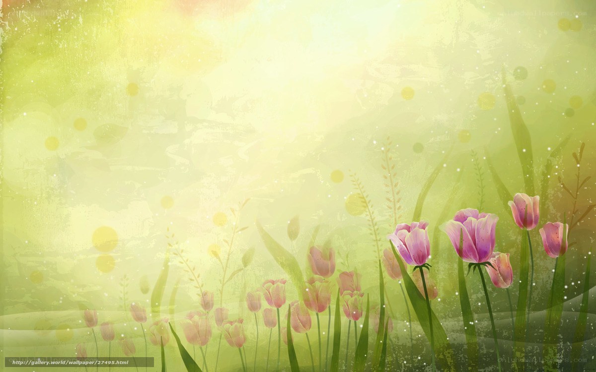 Spring tulips in sunlight