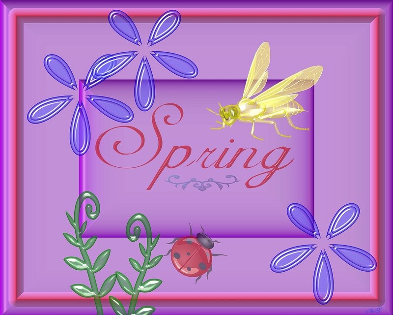 Spring with insects and flowers