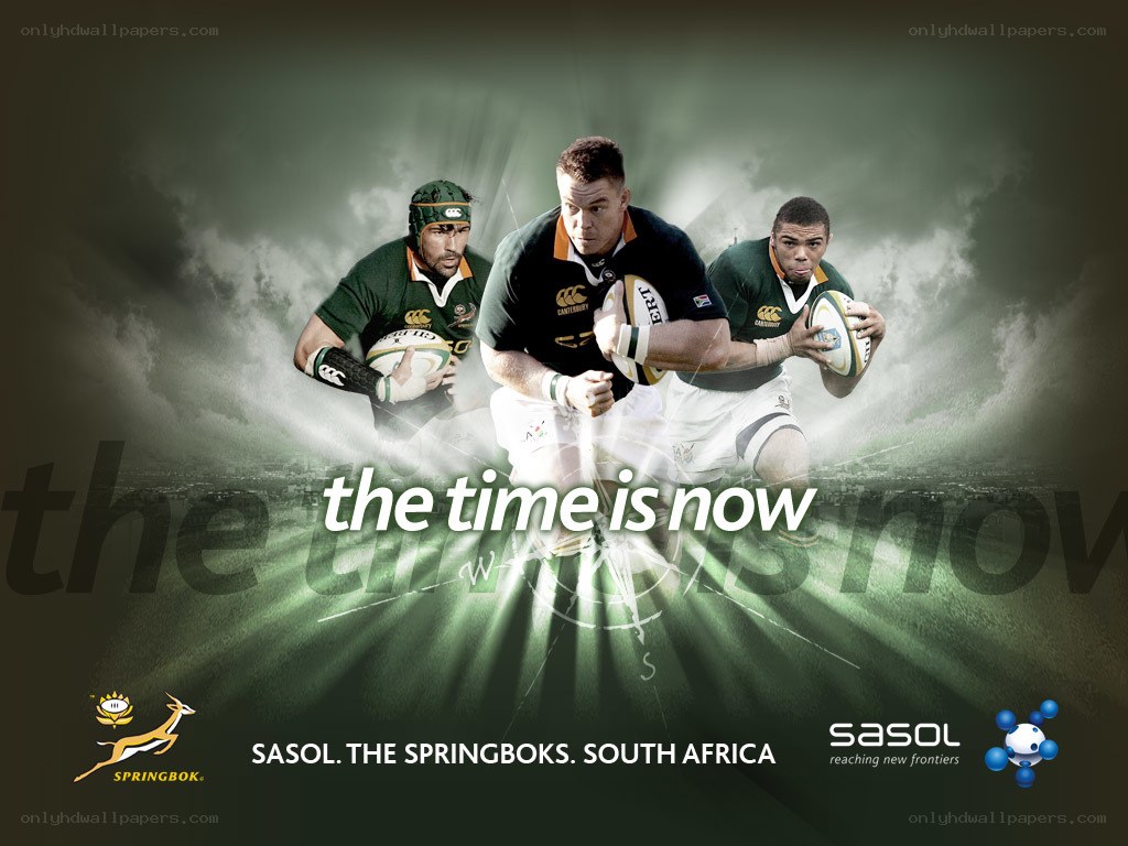 Springboks rugby team ad