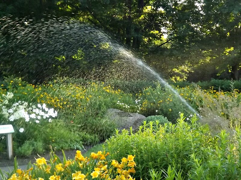 Sprinkler Watering Flowers