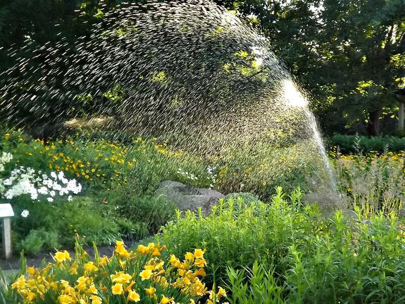 Sprinkler Watering Garden