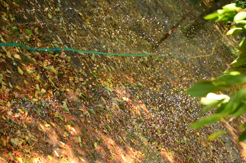 Sprinkler Watering Ground