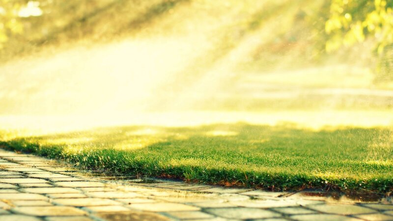 Sprinkler Watering Lawn — Green, Serene