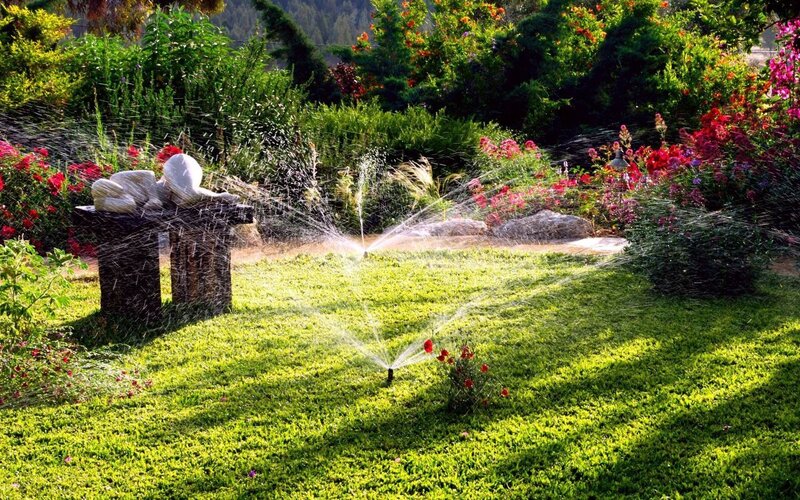 Sprinklers Watering Garden