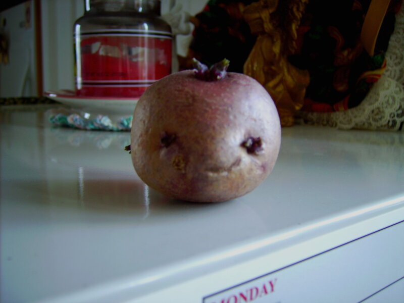 Sprouted Potato