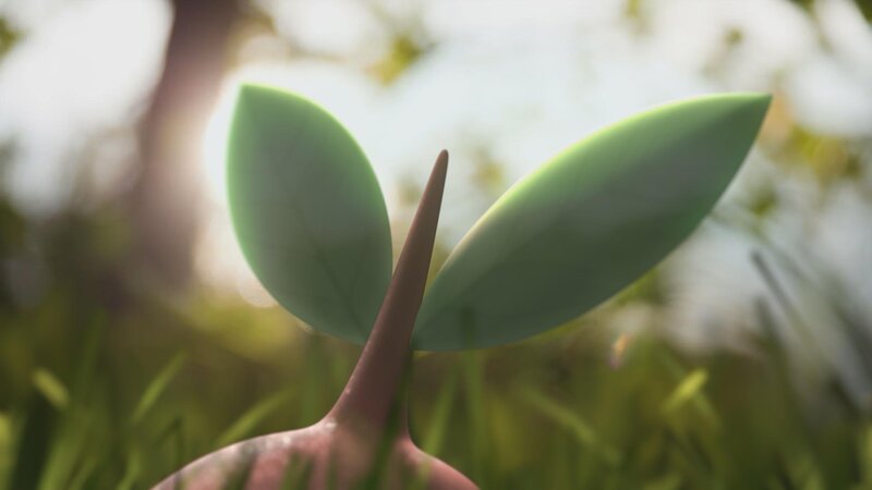 Sprouting Plant