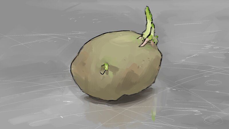 Sprouting Potato