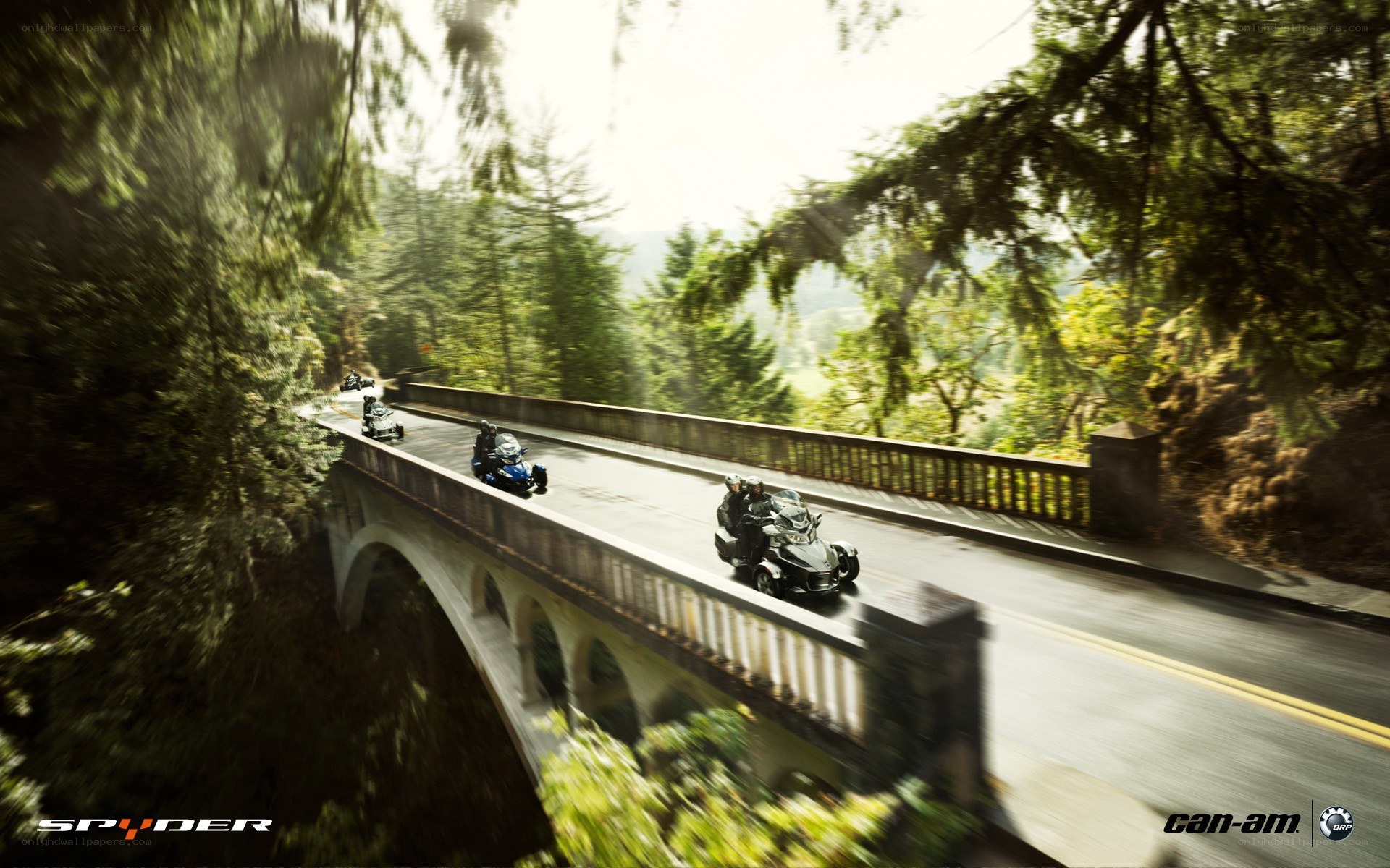 Spyder vehicles on a forest bridge