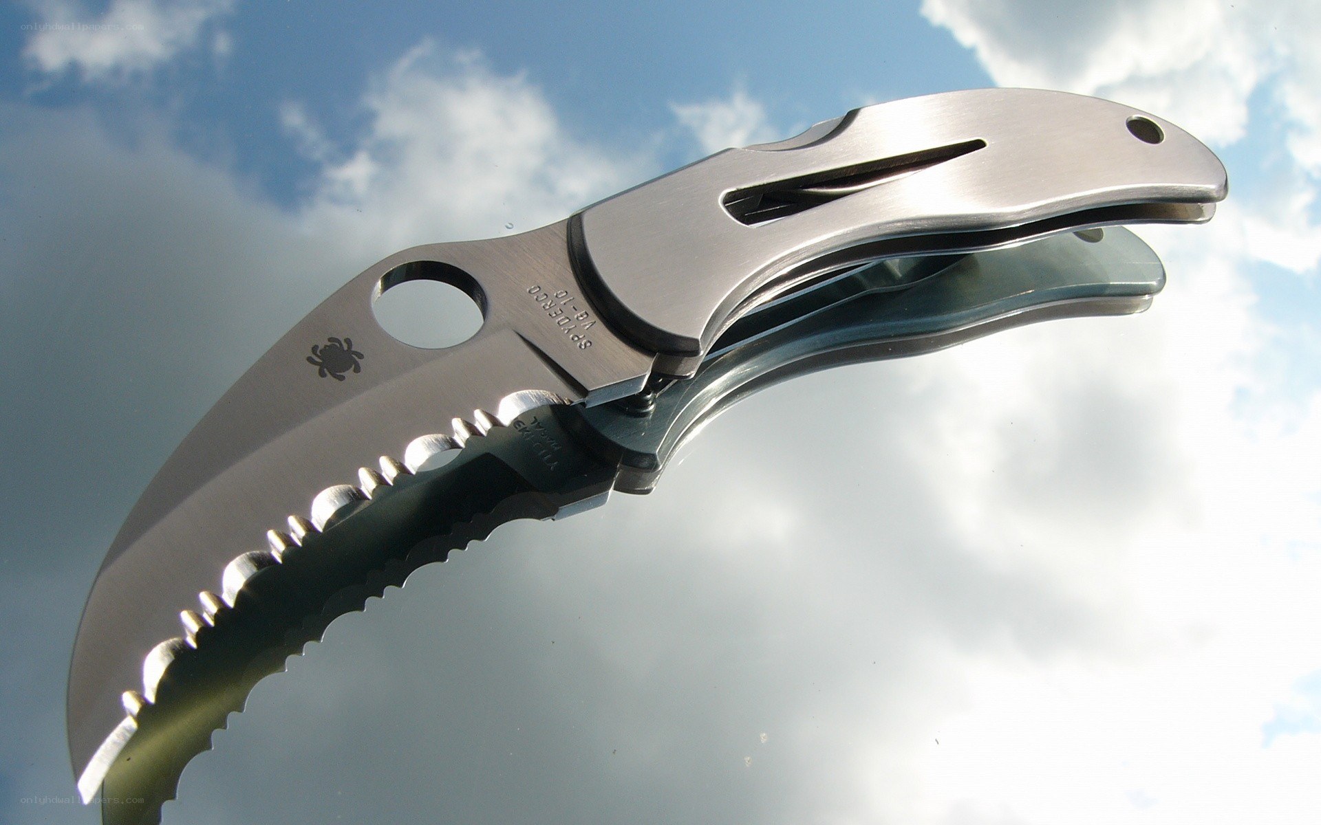 Spyderco folding knife