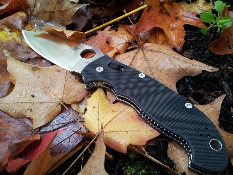 Spyderco folding knife on autumn leaves