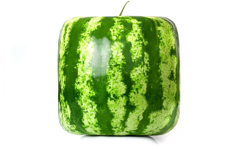 Square Watermelon