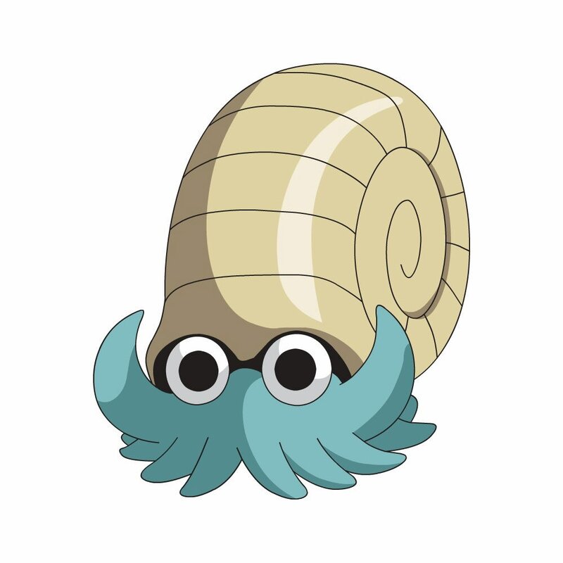 Squid with a shell