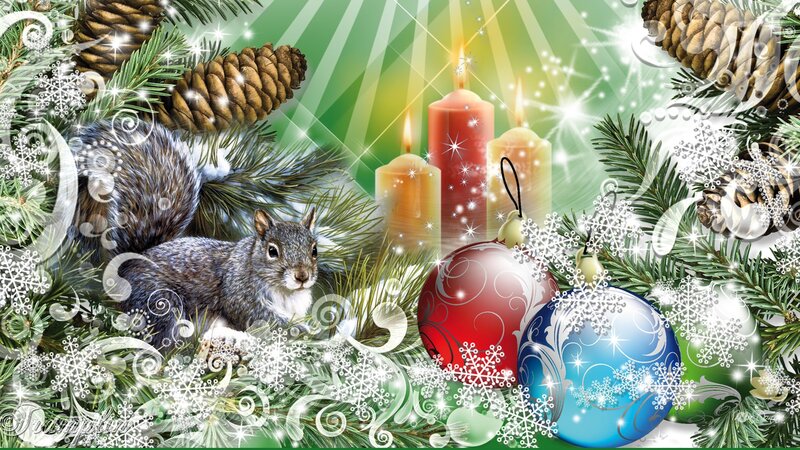 Squirrel Among Ornaments