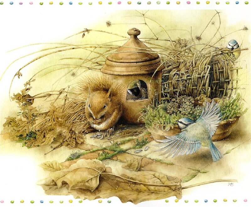 Squirrel and Birds in Garden