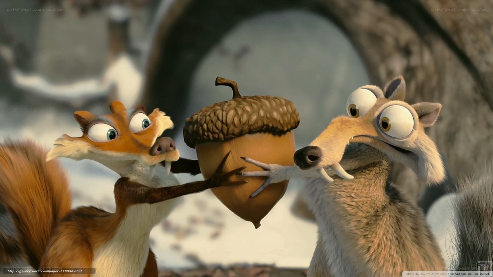 Squirrel and fox fight over acorn