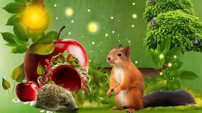 Squirrel and Hedgehog