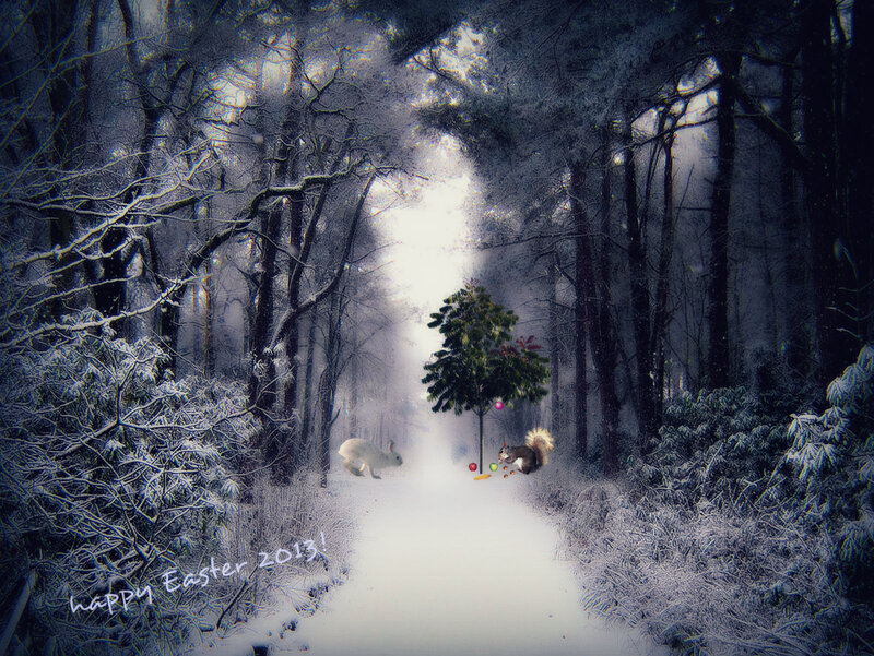 Squirrel and Rabbit in Forest