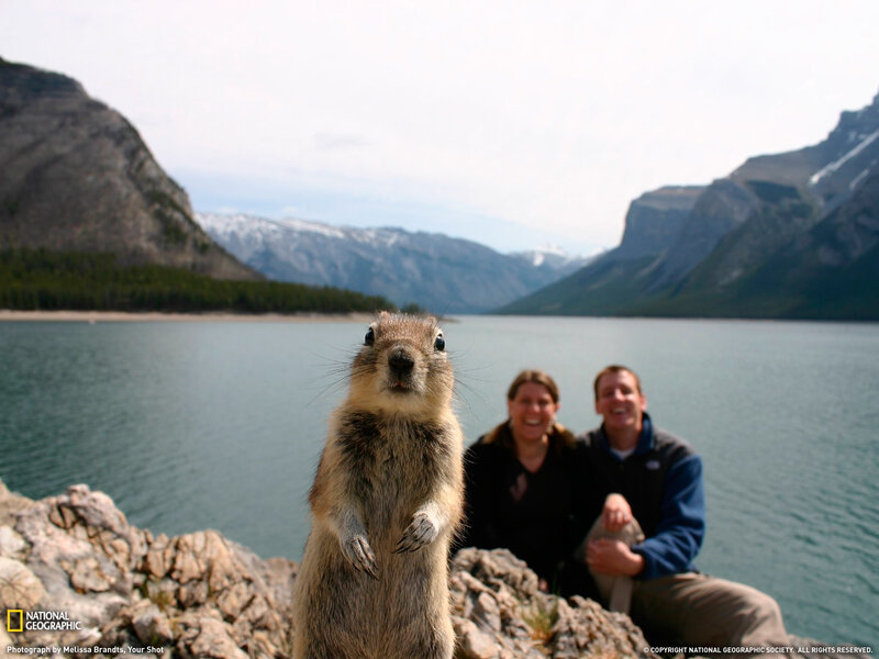 Squirrel at a lake with couple
