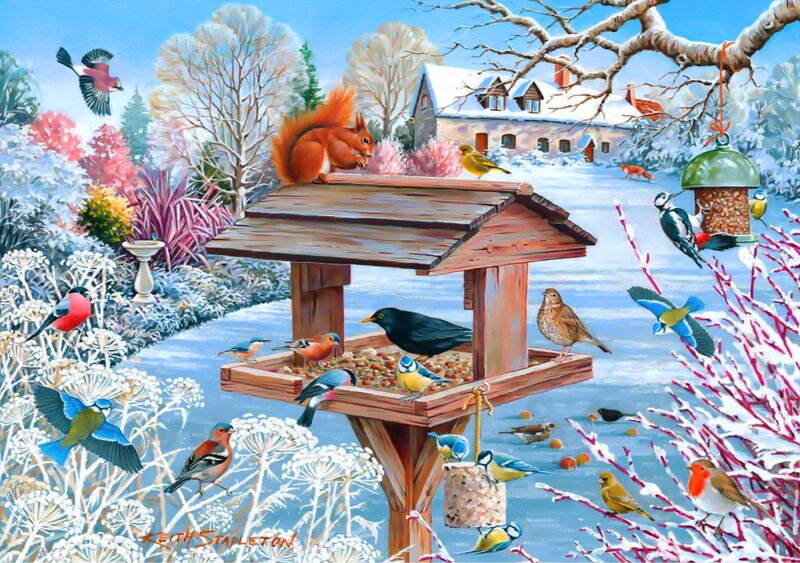 Squirrel at Bird Feeder — Blue