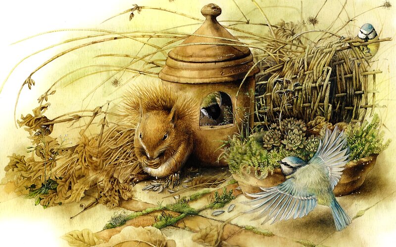 Squirrel at Bird Feeder — Brown