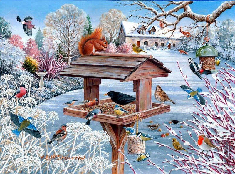 Squirrel at Bird Feeder — White