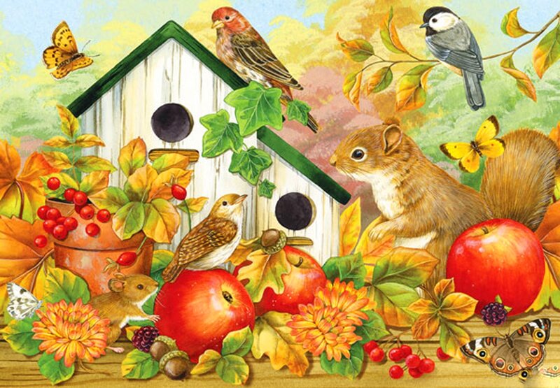 Squirrel at Birdhouse