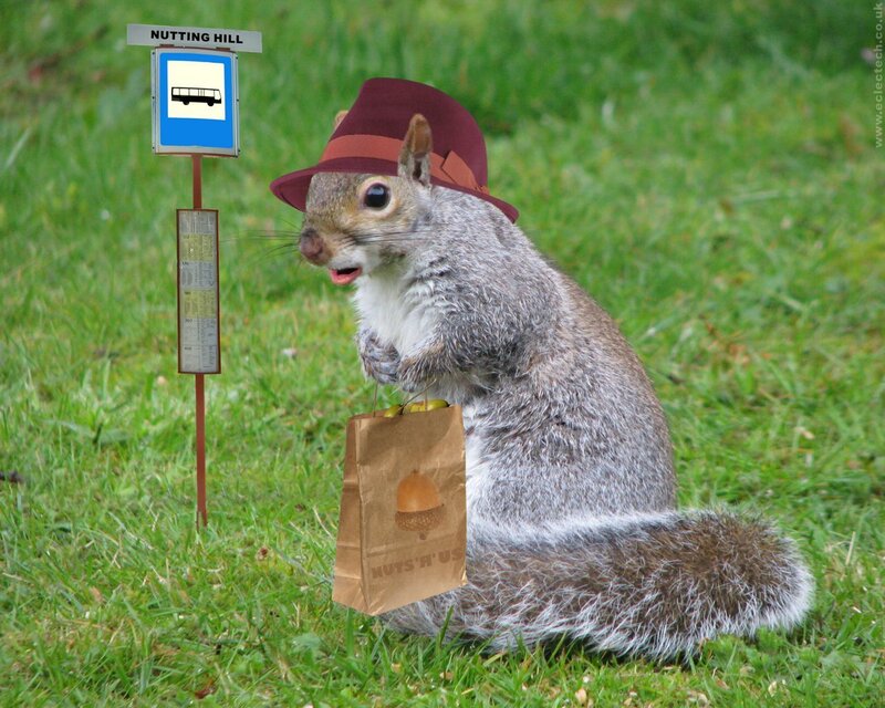 Squirrel at Bus Stop — Green, Humorous, Afternoon