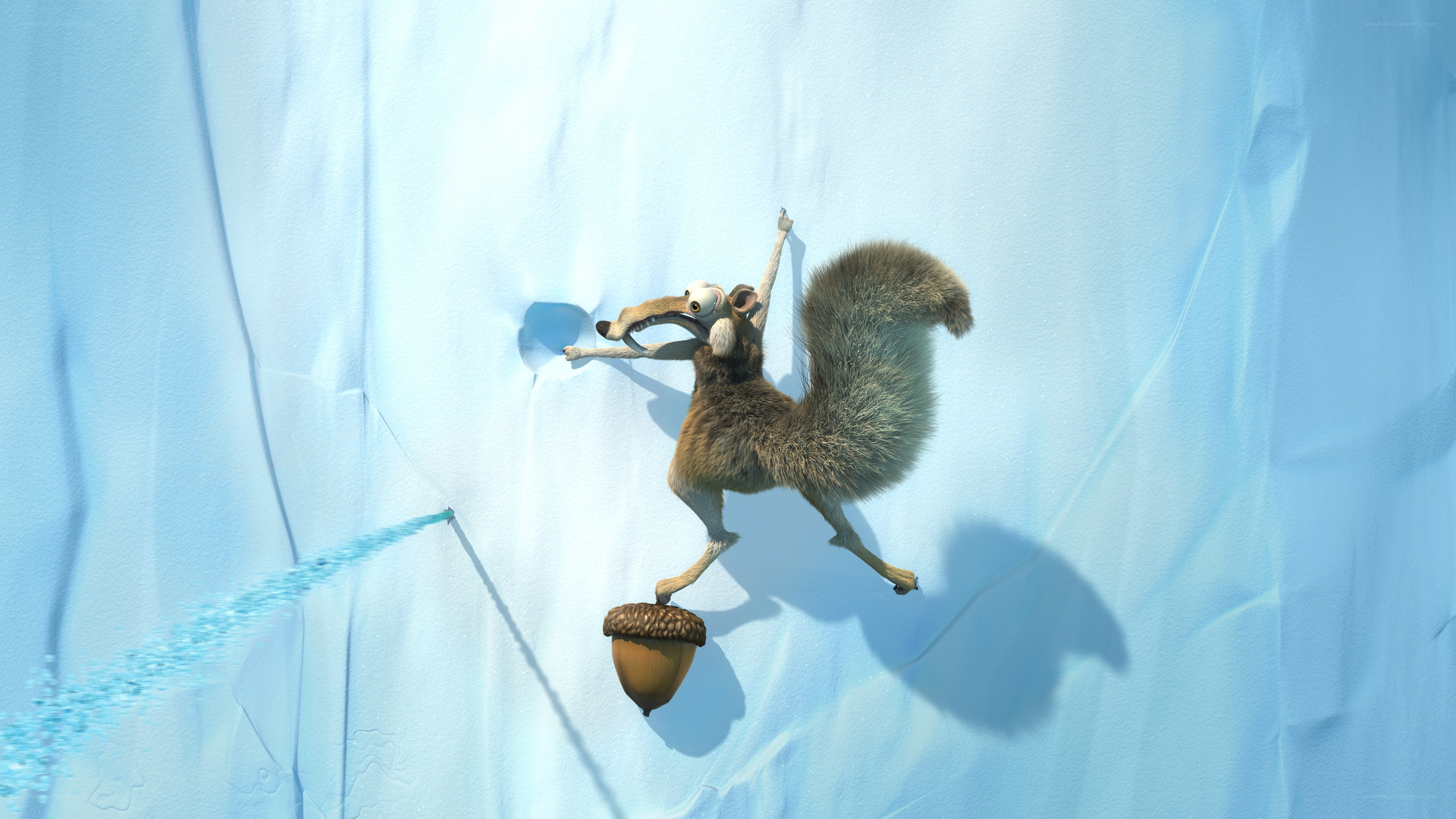 Squirrel climbing ice wall