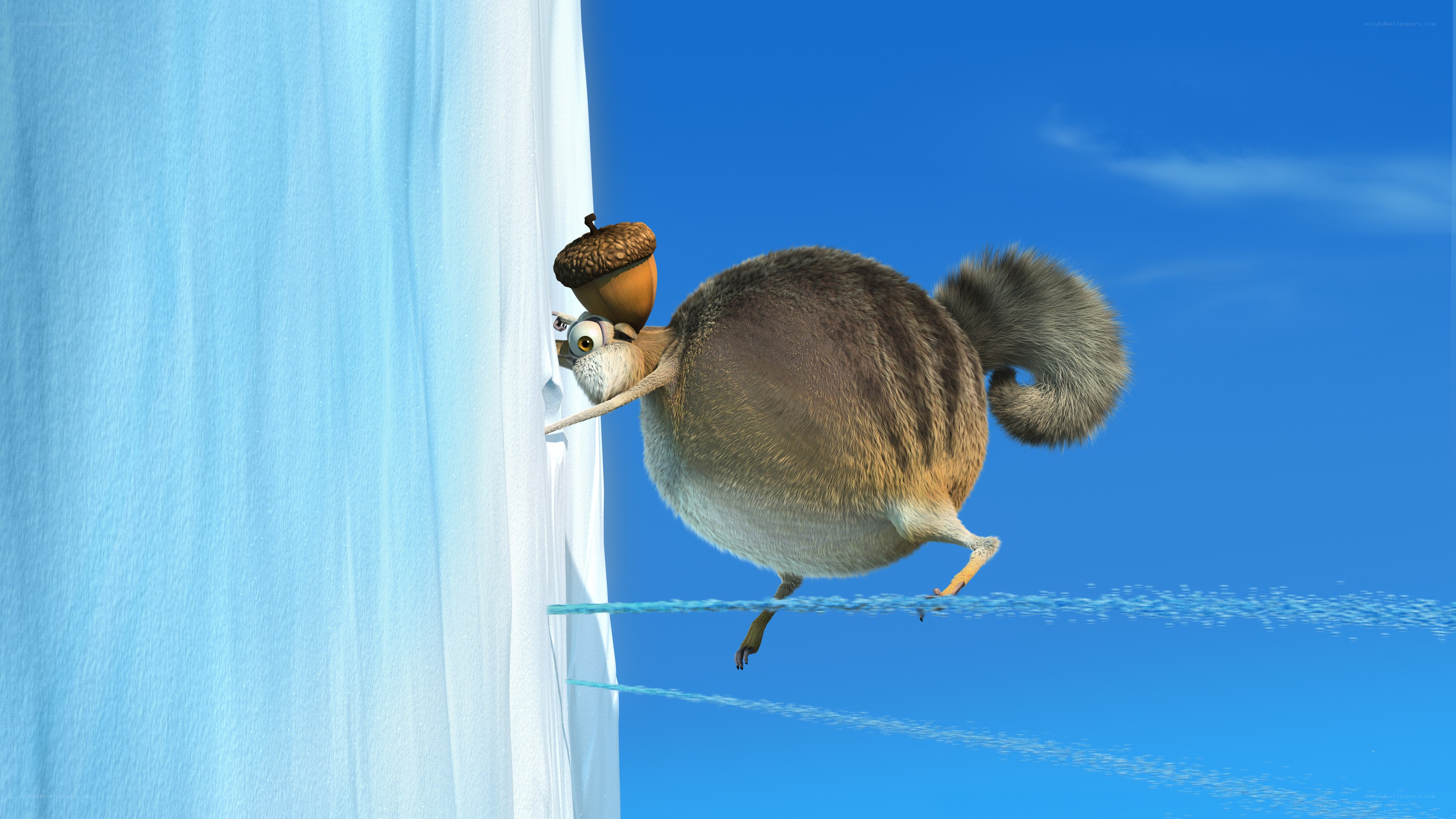 Squirrel clinging to ice cliff